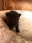 Baby (1)2